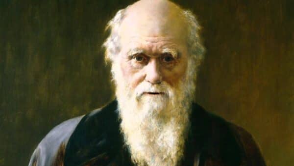 Charles Darwin’s tree of life is ‘wrong and misleading’, claim scientists